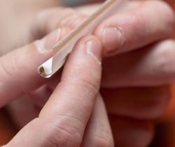 Close-up of hands rolling a cannabis cigarette.