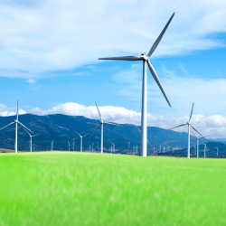 A series of windmills on a bright green field with a blue sky.
