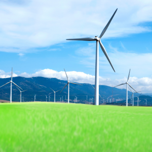 A series of windmills on a bright green field with a blue sky.